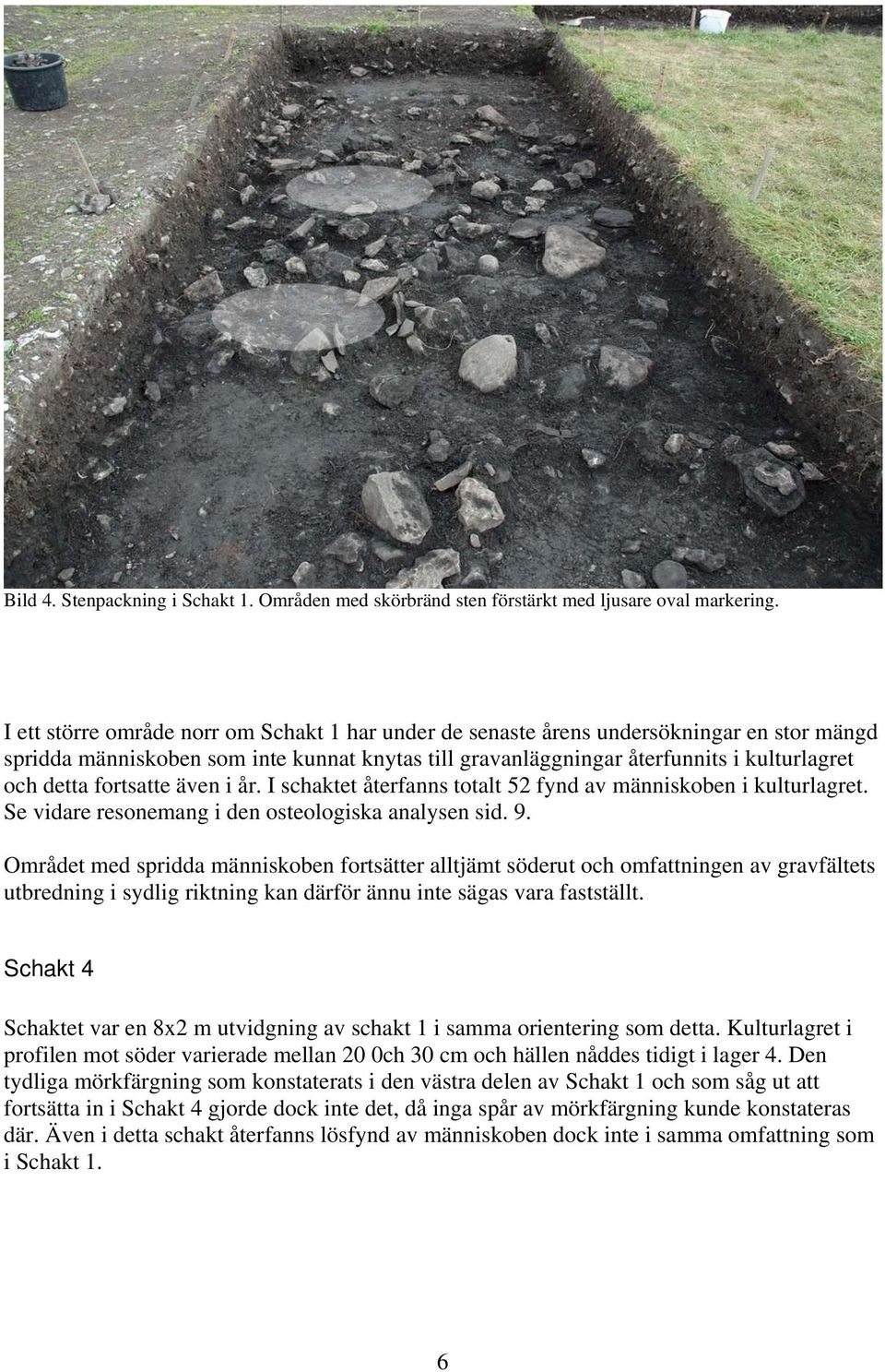 fortsatte även i år. I schaktet återfanns totalt 52 fynd av människoben i kulturlagret. Se vidare resonemang i den osteologiska analysen sid. 9.