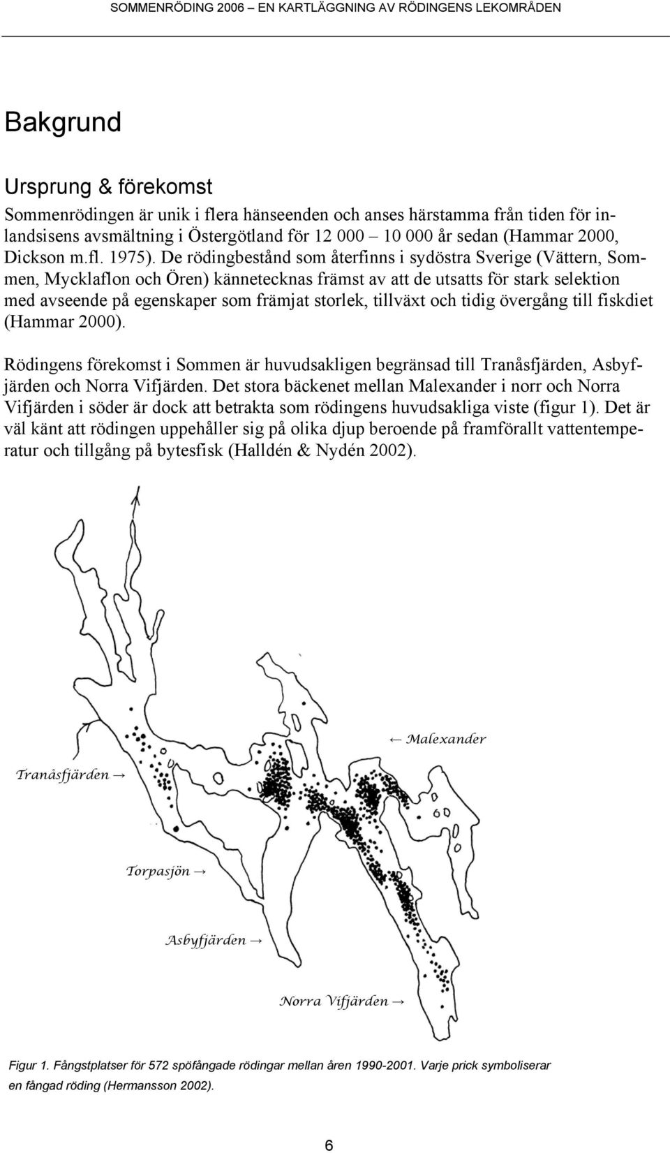 De rödingbestånd som återfinns i sydöstra Sverige (Vättern, Sommen, Mycklaflon och Ören) kännetecknas främst av att de utsatts för stark selektion med avseende på egenskaper som främjat storlek,