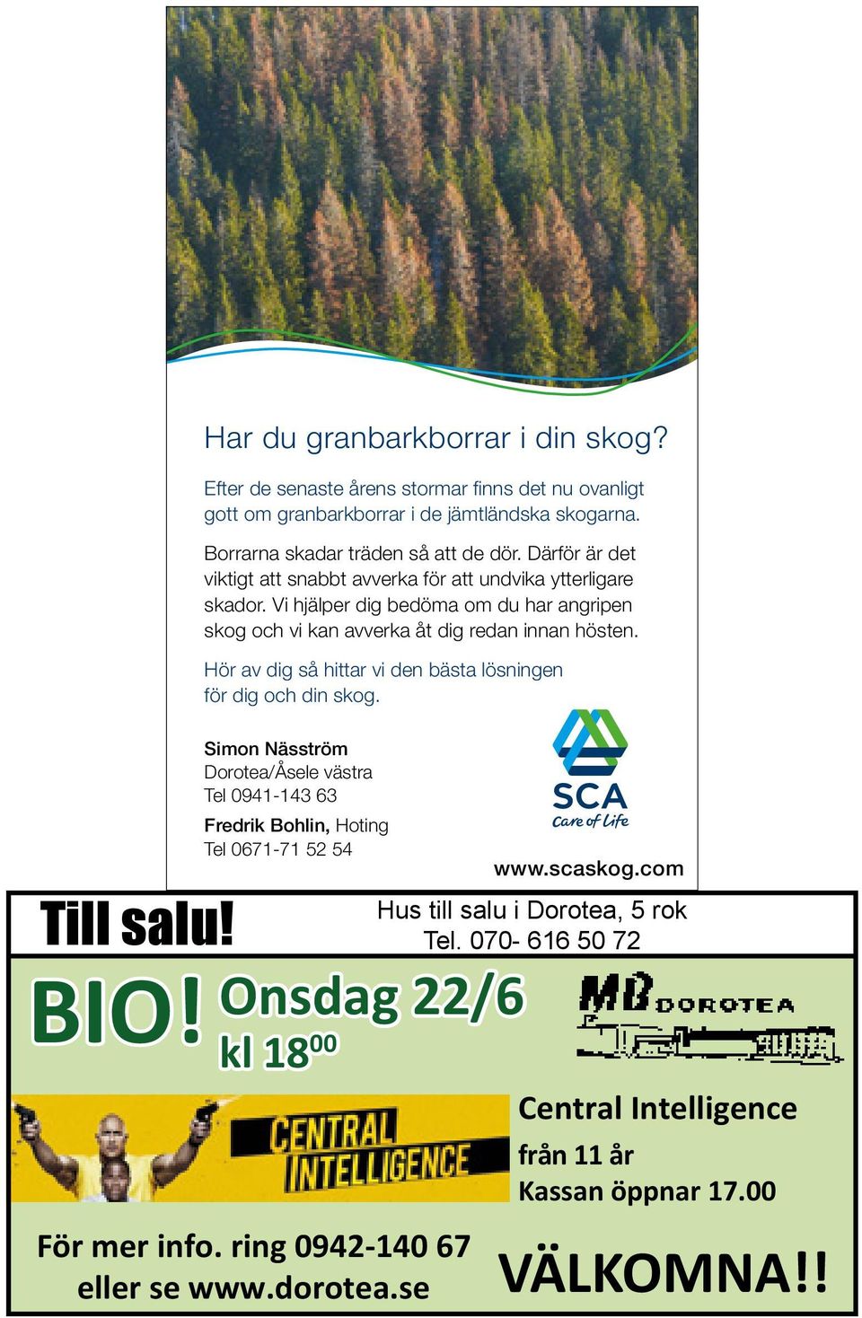 Hör av dig så hittar vi den bästa lösningen för dig och din skog. Till salu! Onsdag 22/6 BIO!