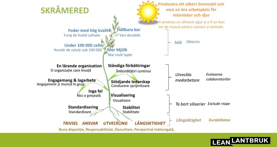 lagarbete Angajament și muncă în grup Inga fel Nici o greșeală Standardisering Standardizare Ständiga förbättringar Îmbunătățiri continui Stödjande ledarskap Conducere sprijinitoare Visualisering