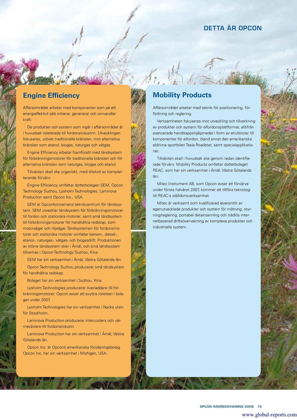 Utvecklingen fokuseras, utöver traditionella bränslen, mot alternativa bränslen som etanol, biogas, naturgas och vätgas.