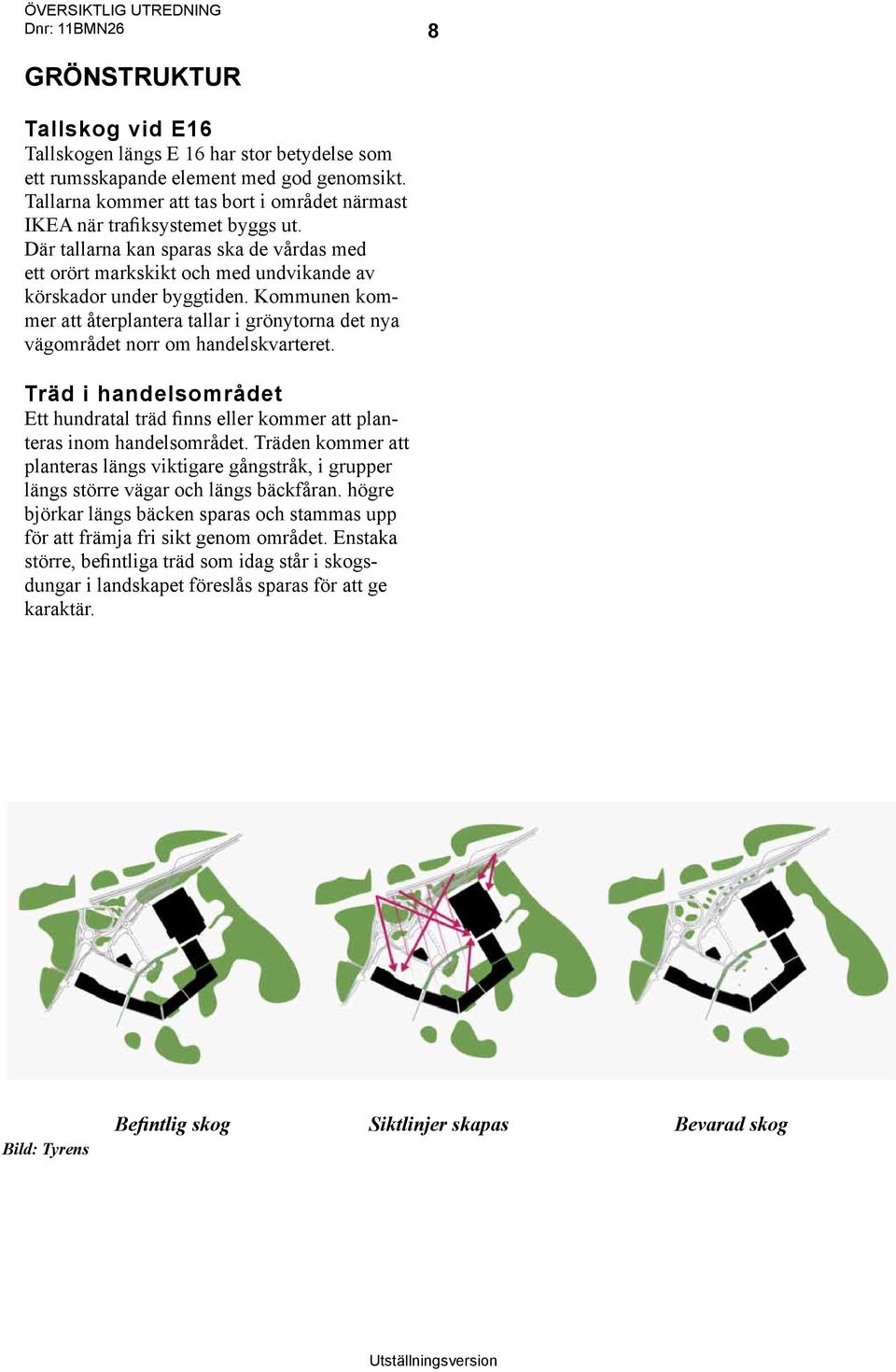 Kommunen kommer att återplantera tallar i grönytorna det nya vägområdet norr om handelskvarteret. Träd i handelsområdet Ett hundratal träd finns eller kommer att planteras inom handelsområdet.