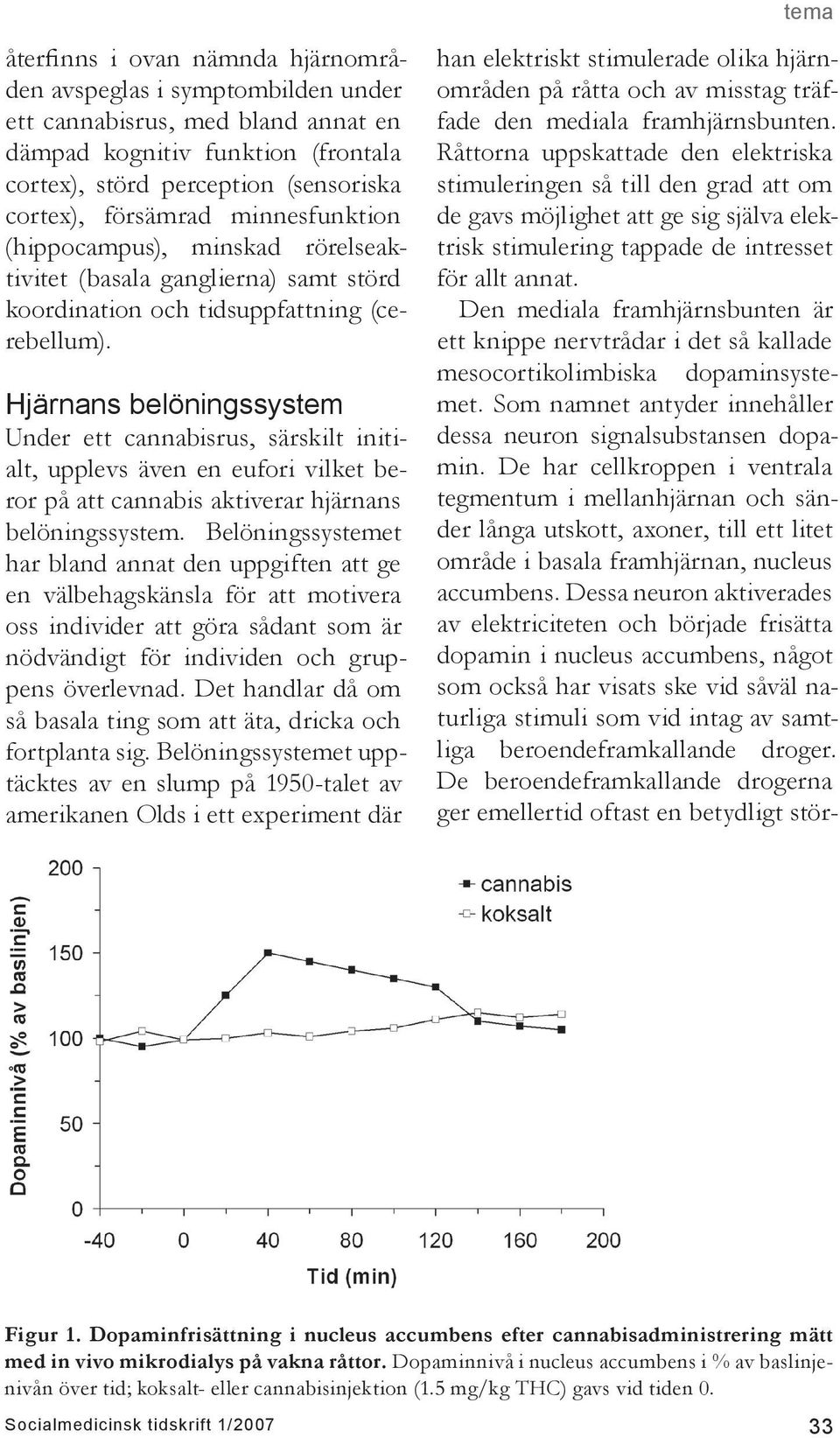 Hjärnans belöningssystem Under ett cannabisrus, särskilt initialt, upplevs även en eufori vilket beror på att cannabis aktiverar hjärnans belöningssystem.