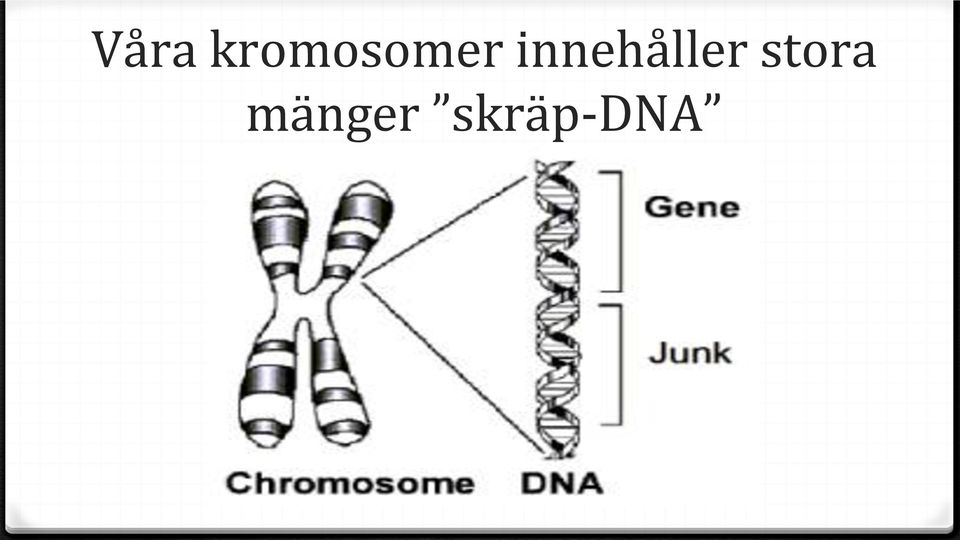 innehåller