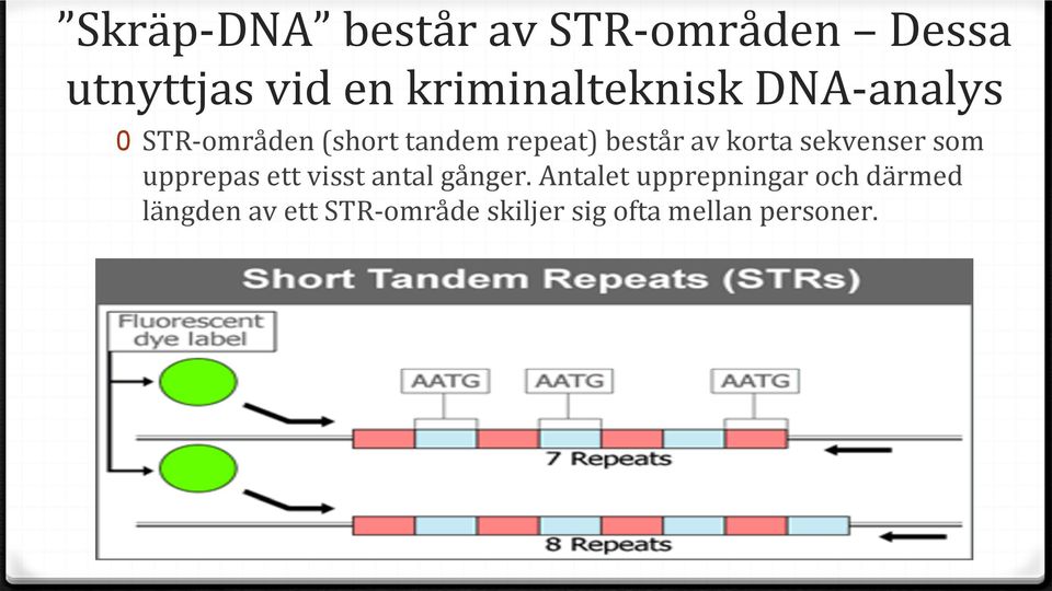 består av korta sekvenser som upprepas ett visst antal gånger.