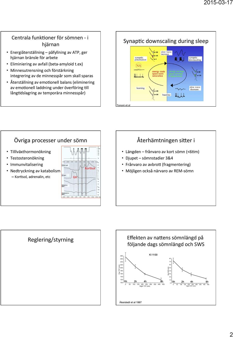 temporära minnesspår) Synap7c downscaling during sleep Tononi et al Övriga processer under sömn Återhämtningen sifer i Tilllväxthormonökning Testosteronökning Immunvitalisering Nedtryckning av