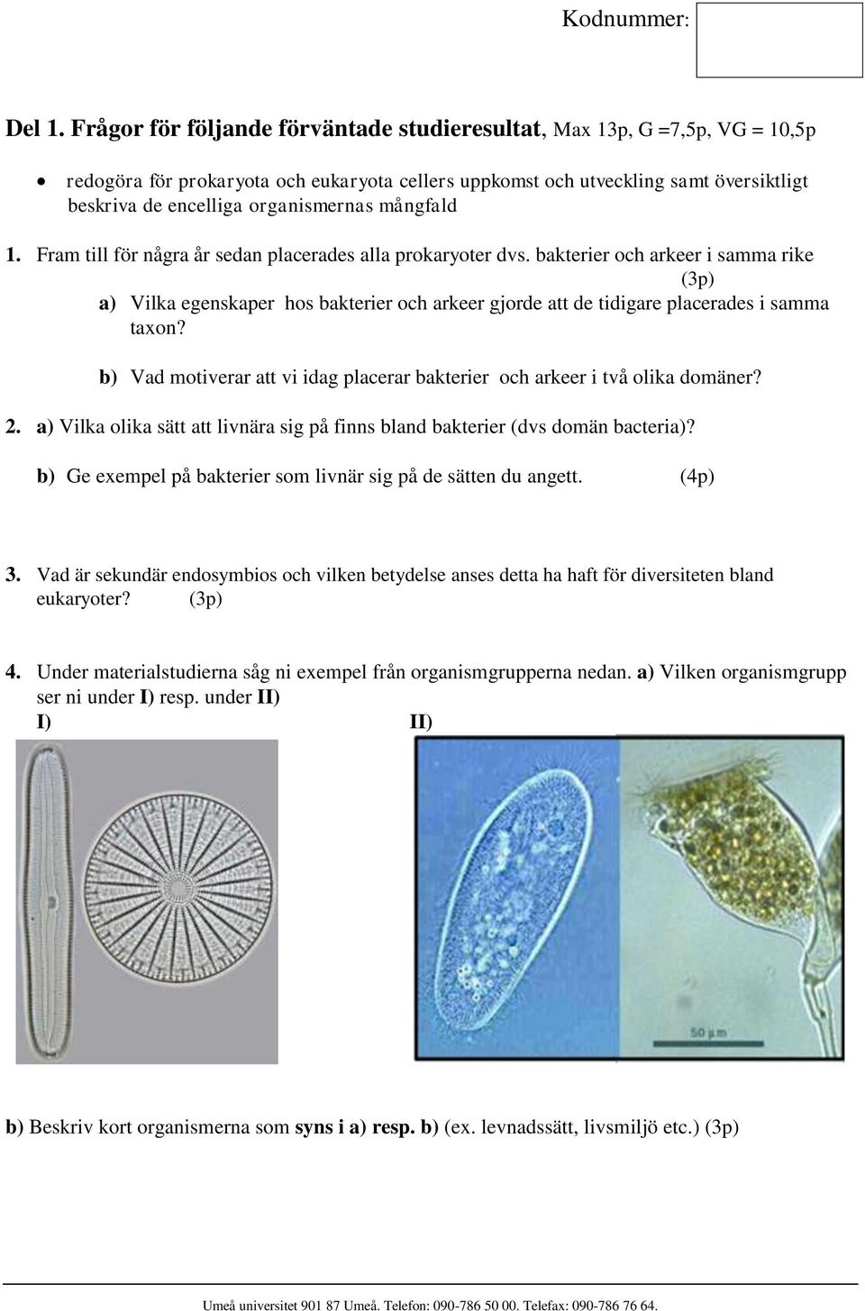 mångfald 1. Fram till för några år sedan placerades alla prokaryoter dvs.