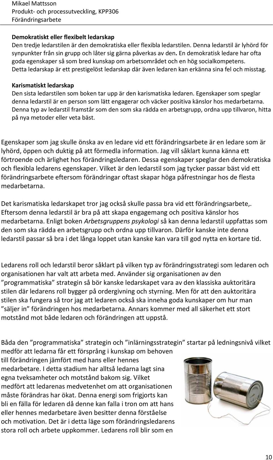 En demokratisk ledare har ofta goda egenskaper så som bred kunskap om arbetsområdet och en hög socialkompetens.