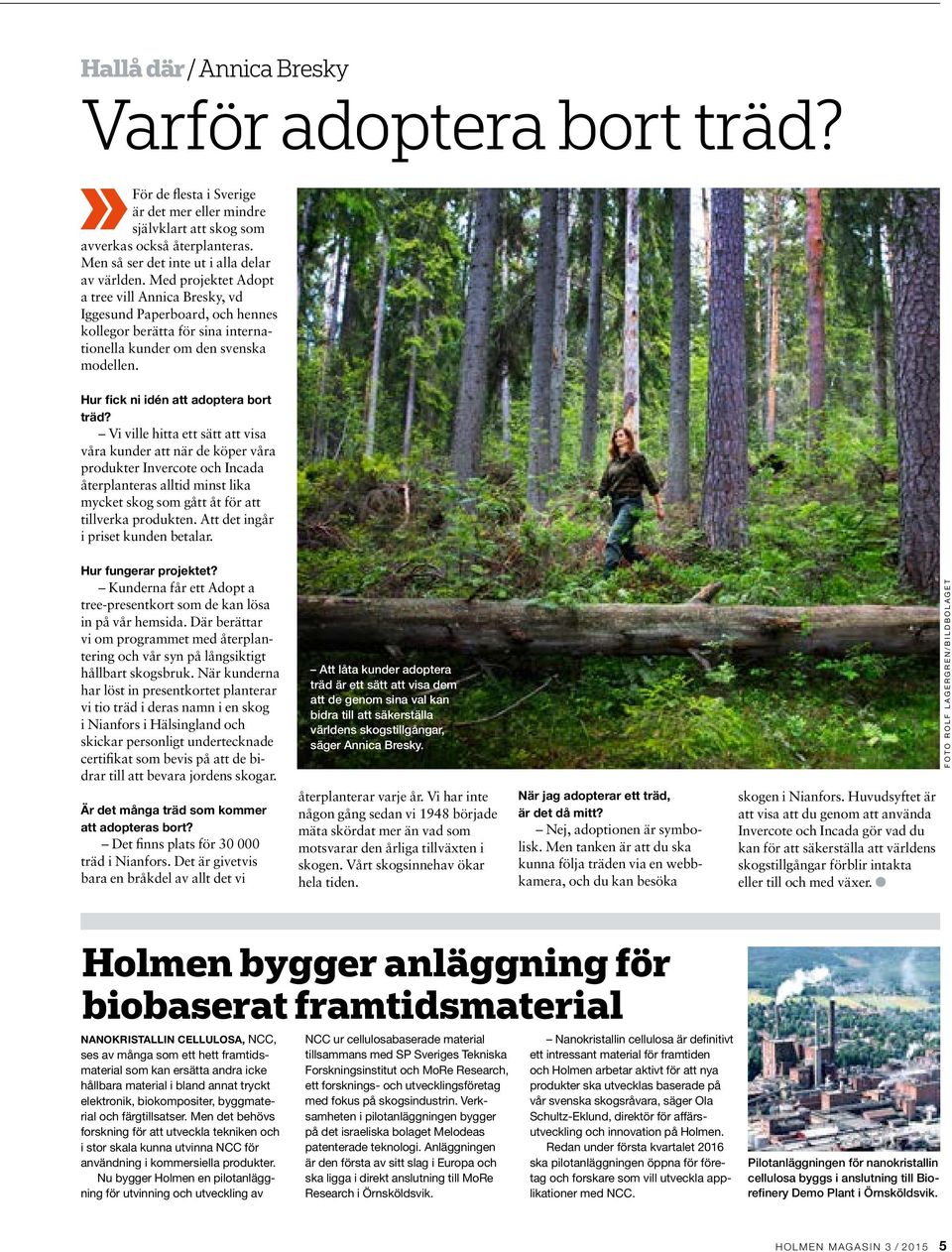Med projektet Adopt a tree vill Annica Bresky, vd Iggesund Paperboard, och hennes kollegor berätta för sina internationella kunder om den svenska modellen. Hur fick ni idén att adoptera bort träd?