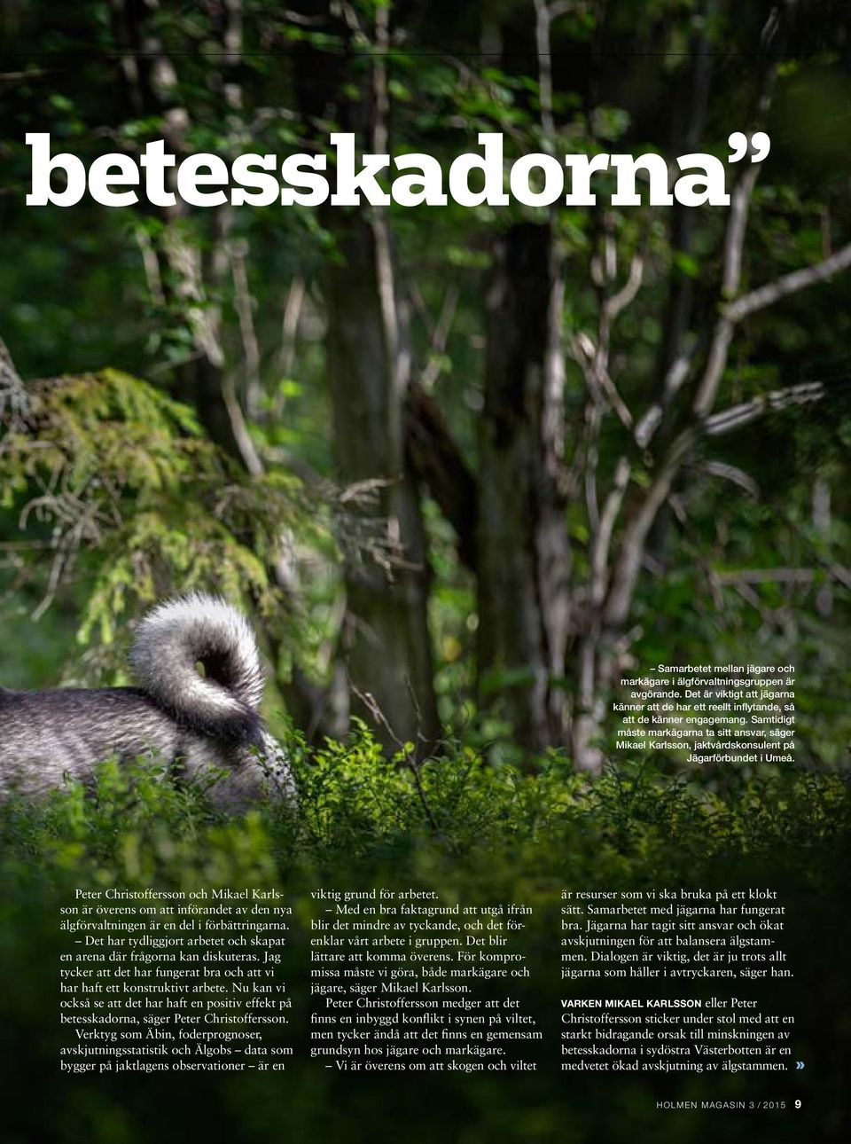 Peter Christoffersson och Mikael Karlsson är överens om att införandet av den nya älgförvaltningen är en del i förbättringarna.