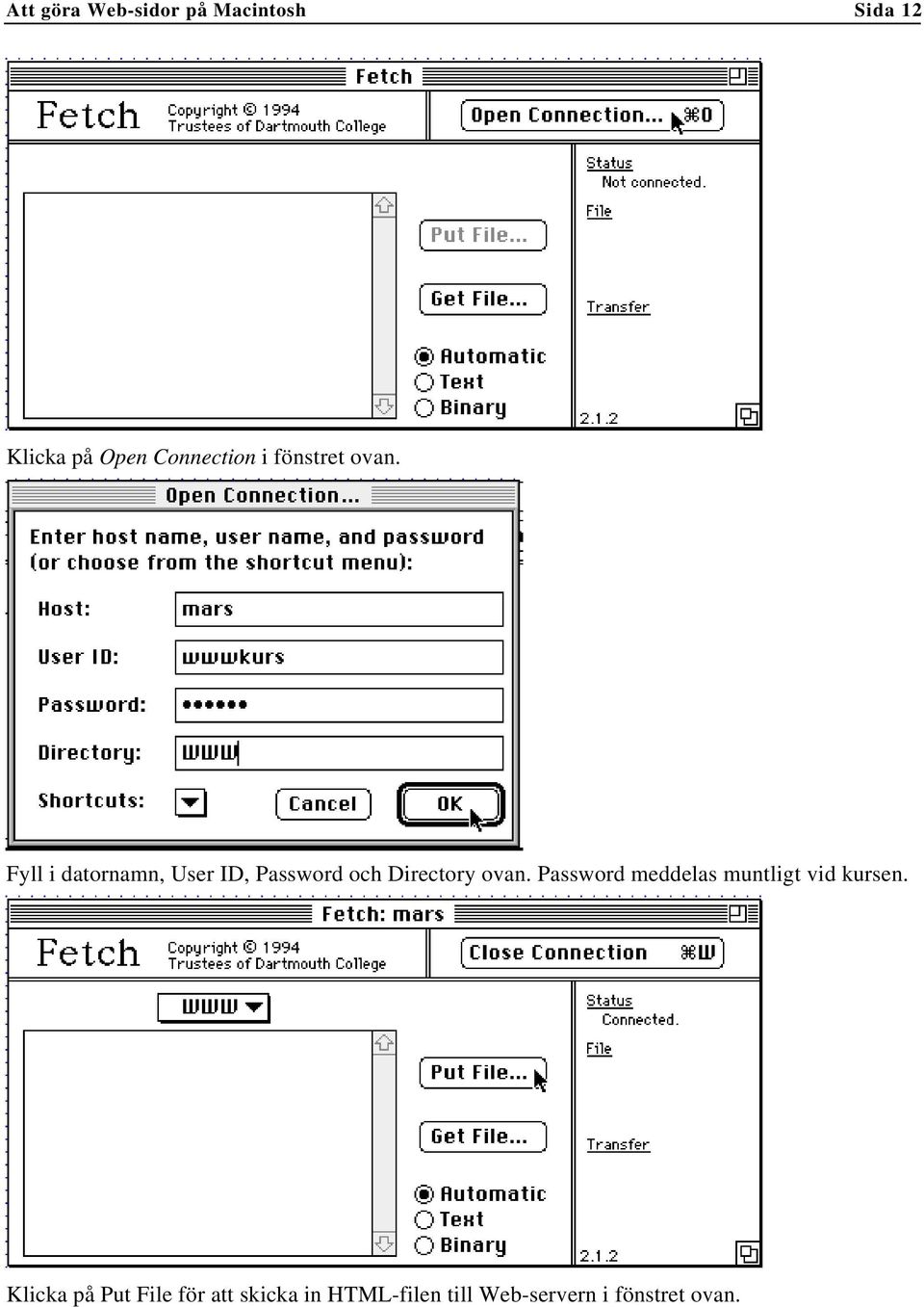 Fyll i datornamn, User ID, Password och Directory ovan.