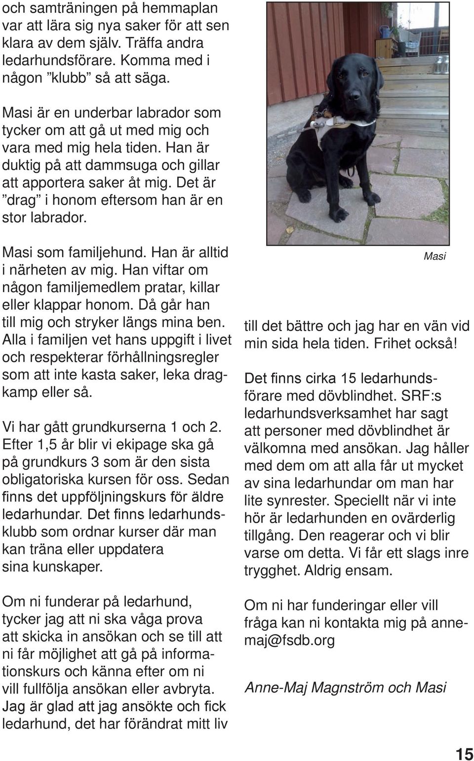 Det är drag i honom eftersom han är en stor labrador. Masi som familjehund. Han är alltid i närheten av mig. Han viftar om någon familjemedlem pratar, killar eller klappar honom.