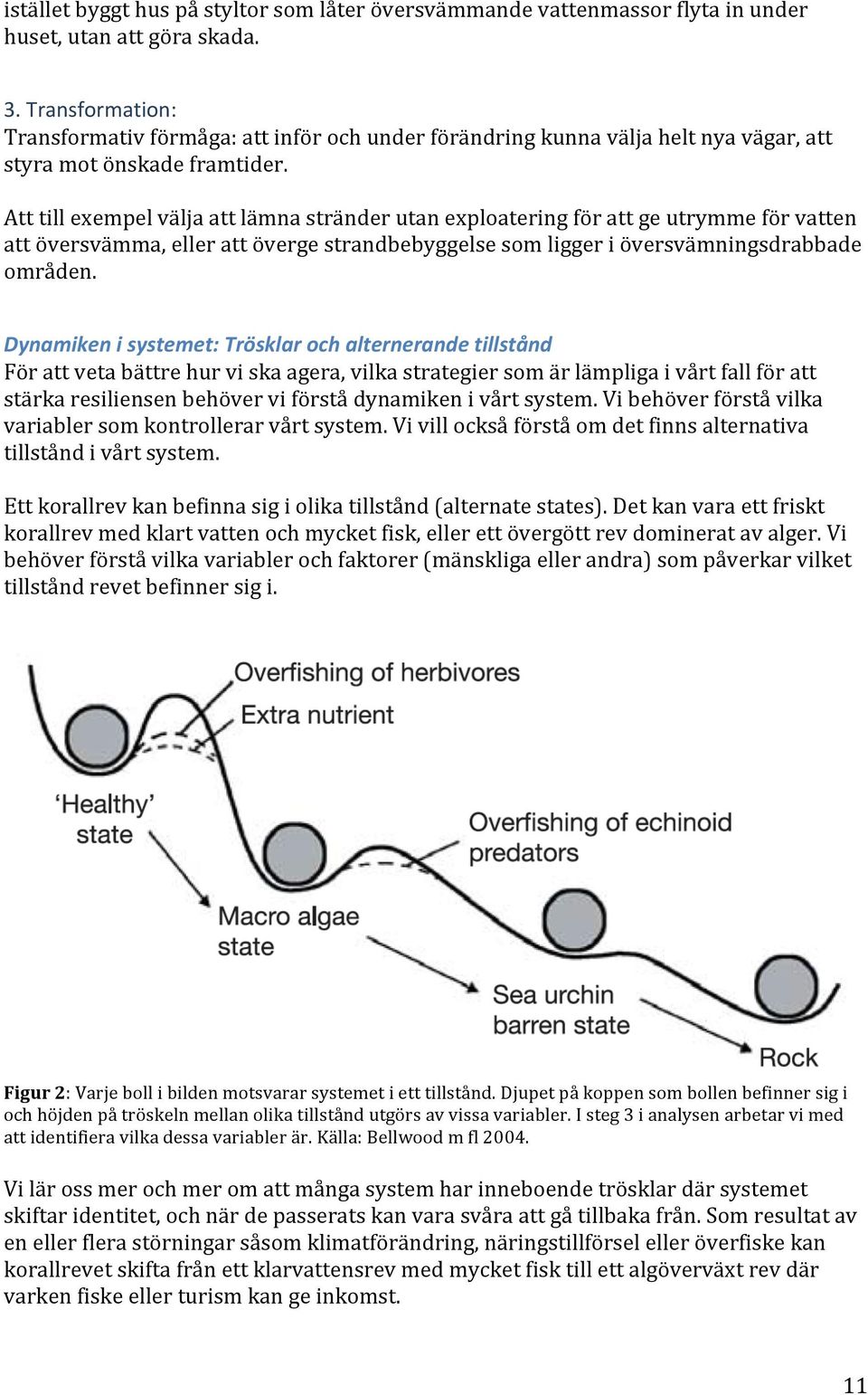 Att till exempel välja att lämna stränder utan exploatering för att ge utrymme för vatten att översvämma, eller att överge strandbebyggelse som ligger i översvämningsdrabbade områden.