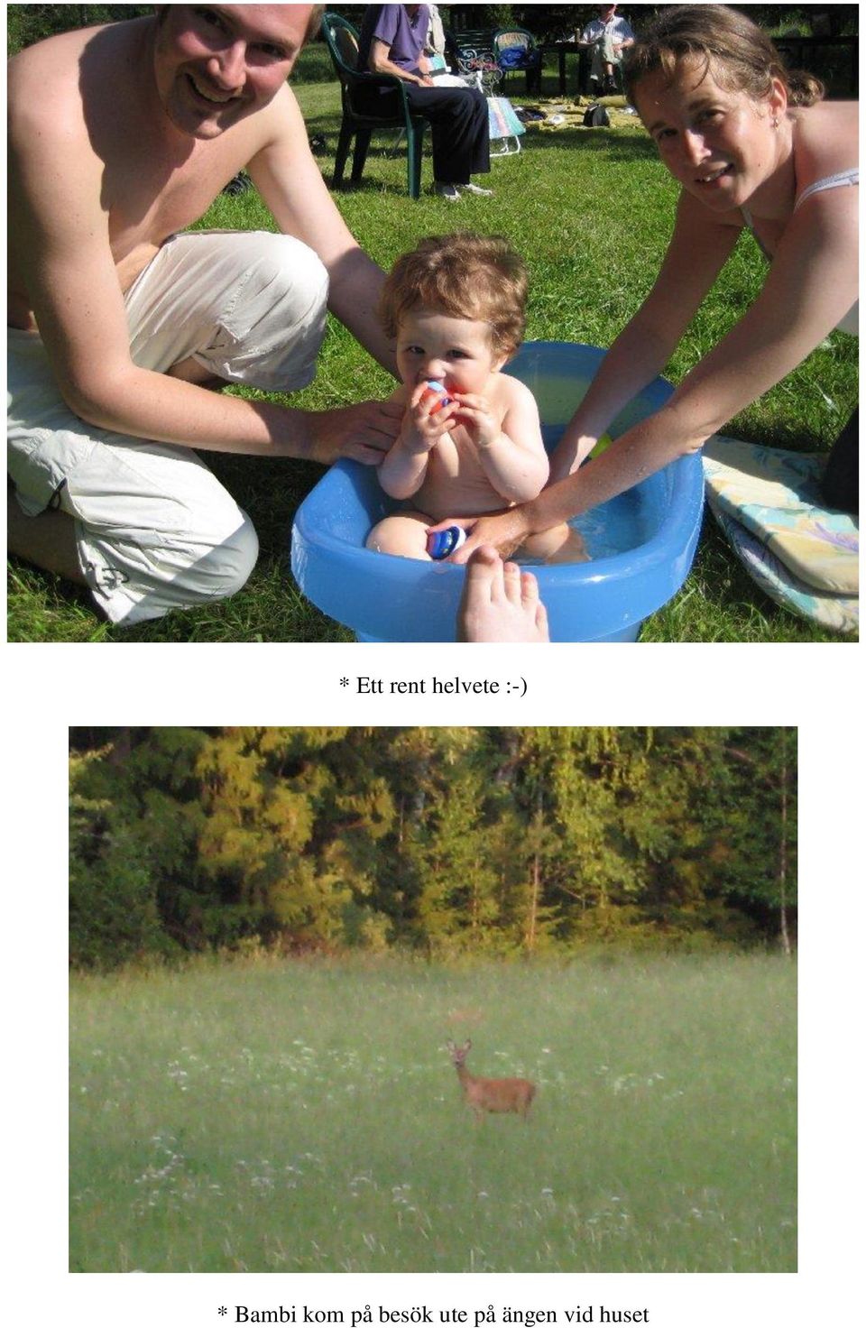 Bambi kom på