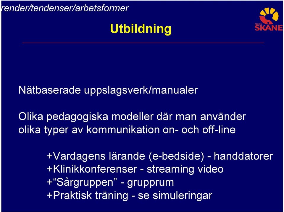 off-line +Vardagens lärande (e-bedside) - handdatorer