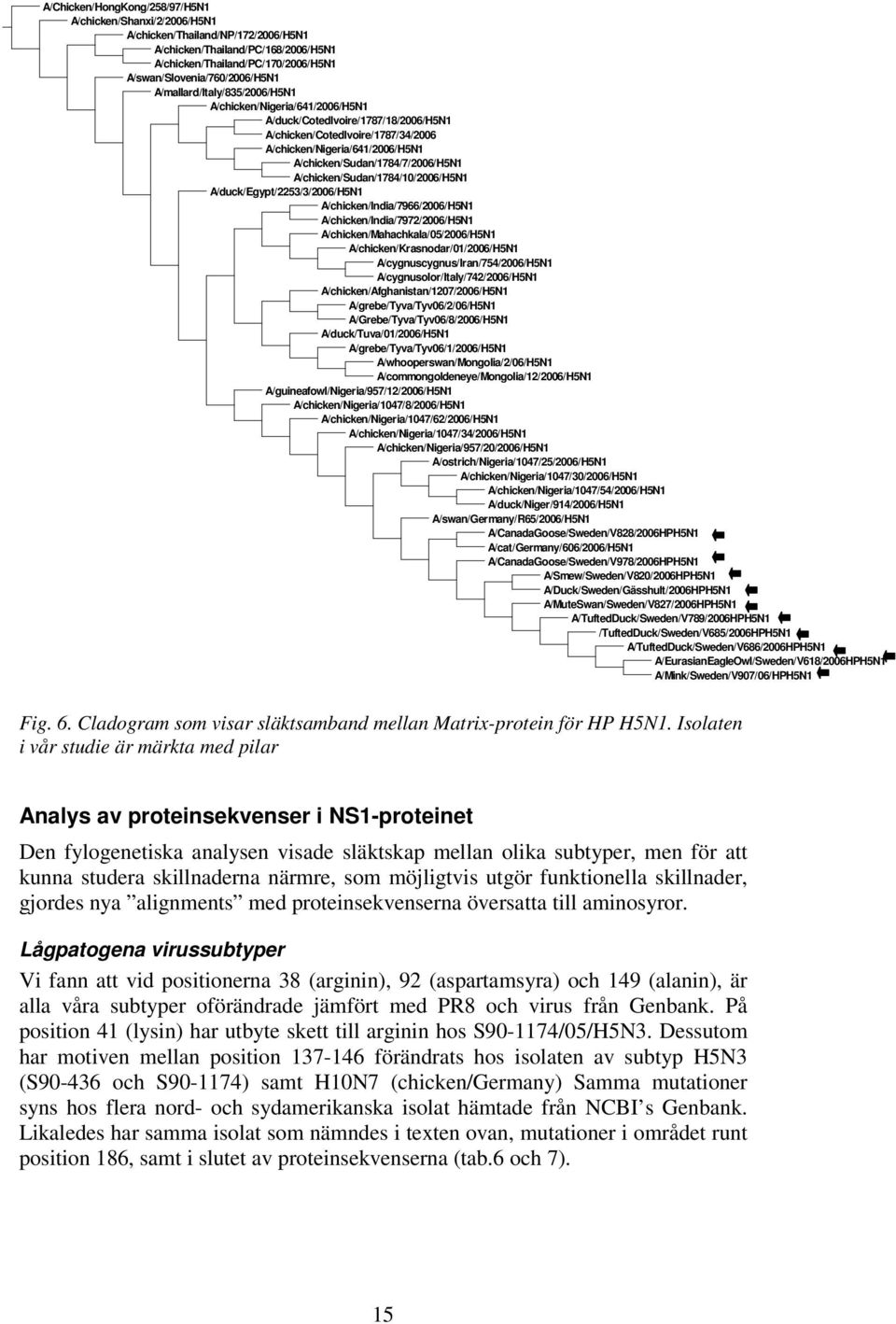 A/chicken/Sudan/1784/10/2006/H5N1 A/duck/Egypt/2253/3/2006/H5N1 A/chicken/India/7966/2006/H5N1 A/chicken/India/7972/2006/H5N1 A/chicken/Mahachkala/05/2006/H5N1 A/chicken/Krasnodar/01/2006/H5N1