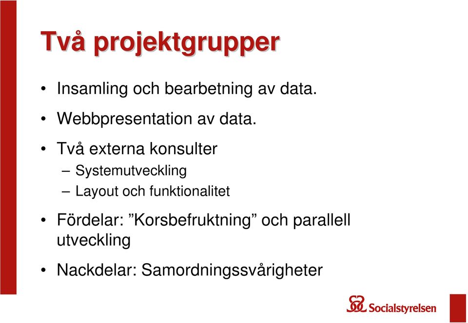 Två externa konsulter Systemutveckling Layout och