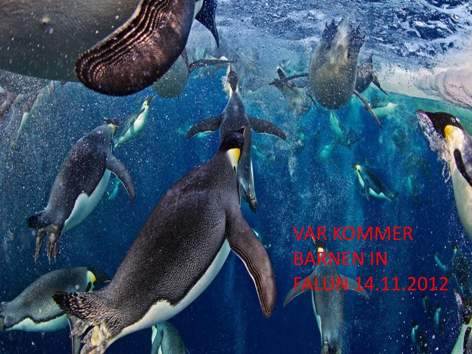 BARNEN IN