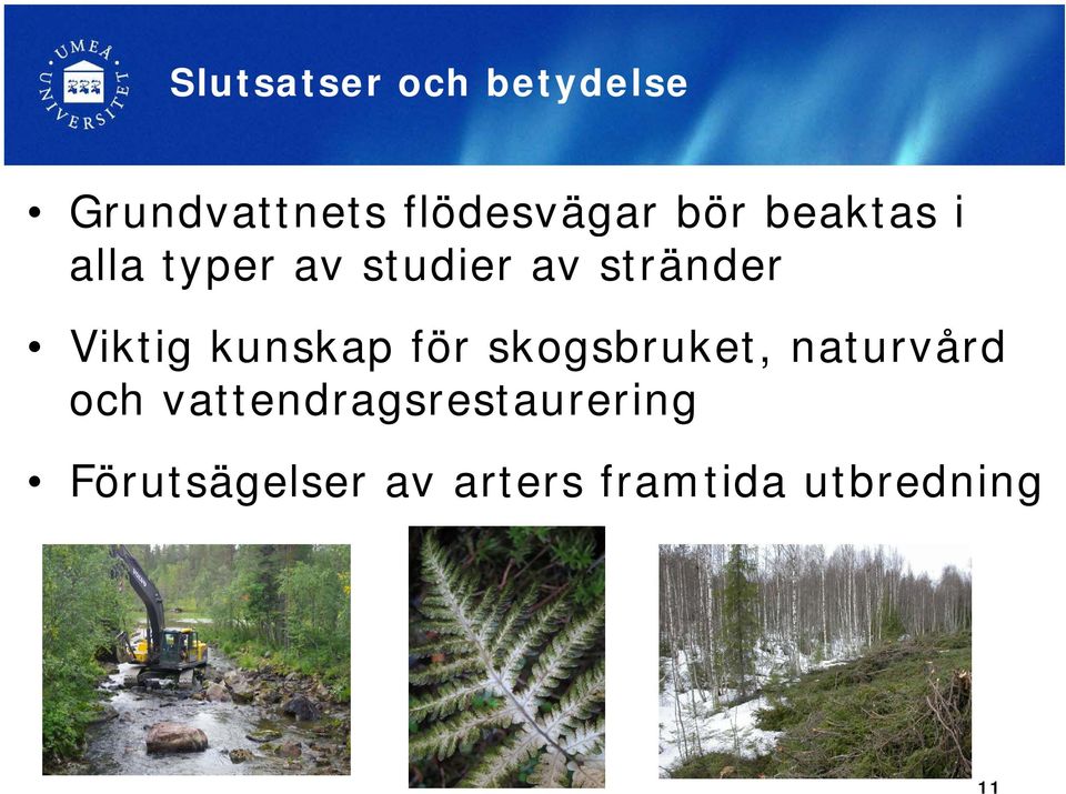 kunskap k för skogsbruket, k naturvård och