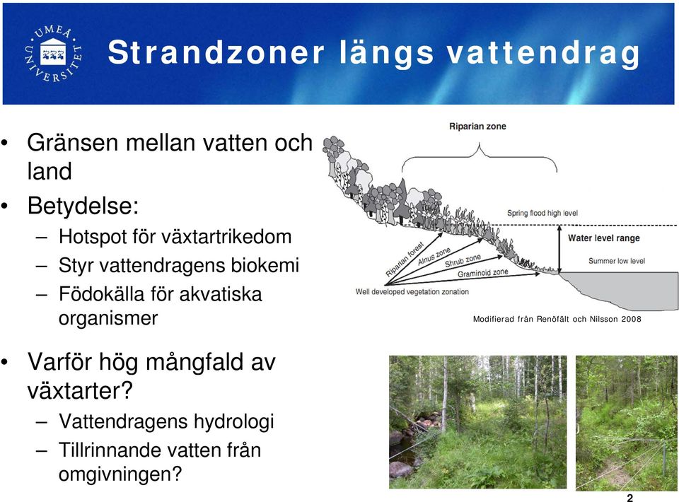 akvatiska organismer Varför hög mångfald av växtarter?