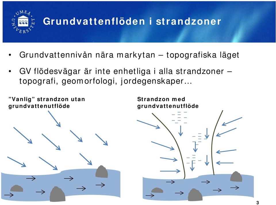 utan grundvattenutflöde Strandzon med grundvattenutflöde Groundwater table Grundvattennivån