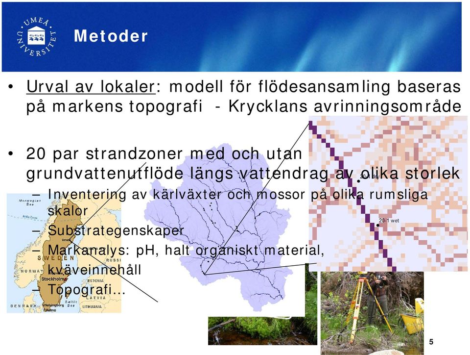 vattendrag av olika storlek Inventering av kärlväxter och mossor på olika rumsliga