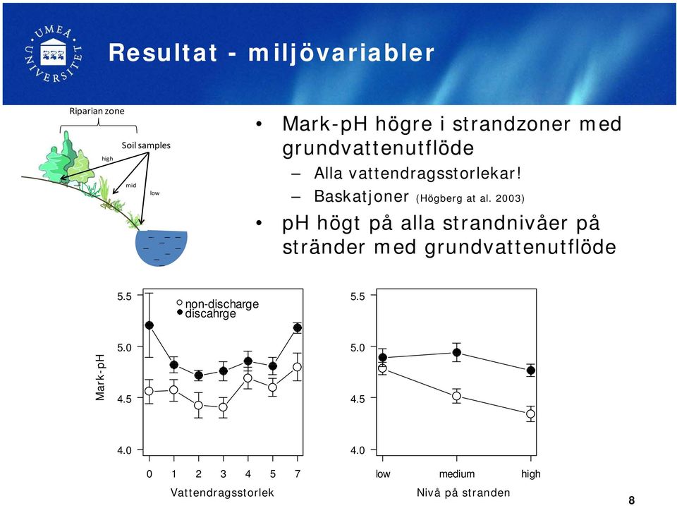 2003) ph högt på alla strandnivåer på stränder med grundvattenutflöde 5.5 non-discharge discahrge 5.