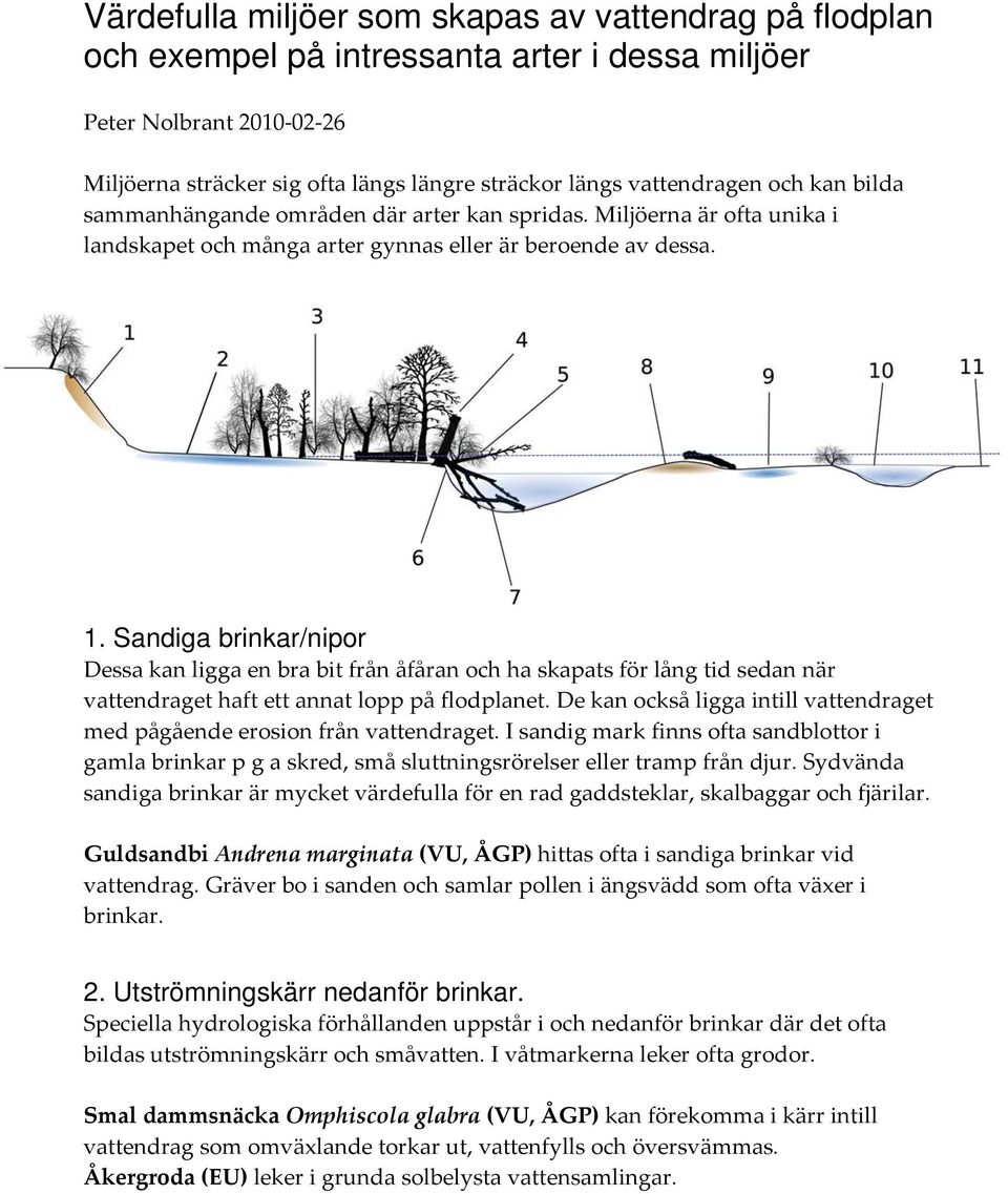 Sandiga brinkar/nipor Dessa kan ligga en bra bit från åfåran och ha skapats för lång tid sedan när vattendraget haft ett annat lopp på flodplanet.