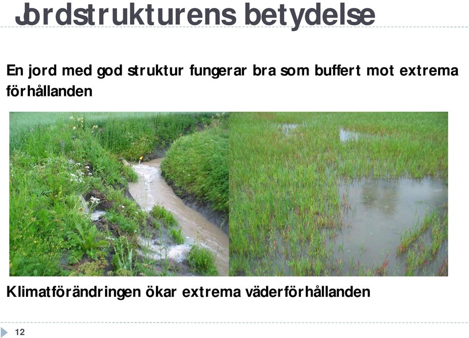 mot extrema förhållanden