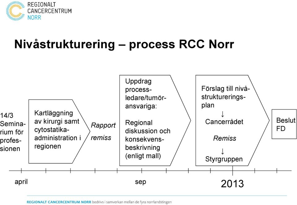 processledare/tumöransvariga: Rapport remiss Regional diskussion och