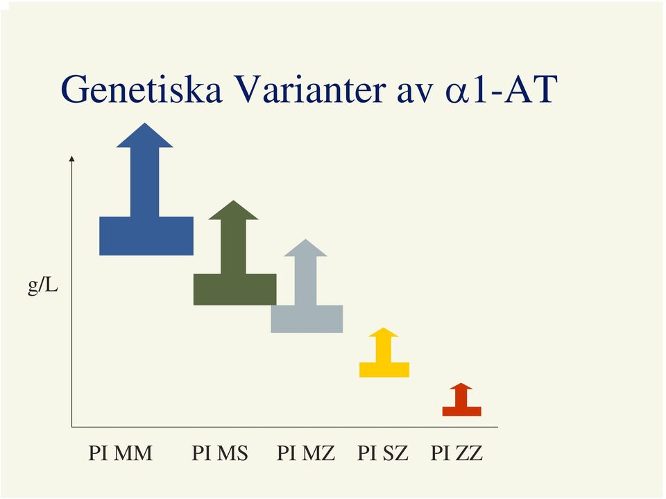 α1-at g/l PI MM