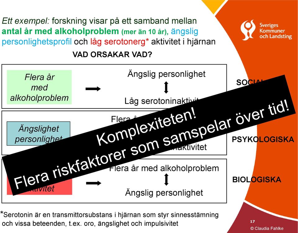 Flera år med alkoholproblem Ängslighet personlighet Låg serotonin aktivitet Ängslig personlighet Låg serotoninaktivitet Flera år med