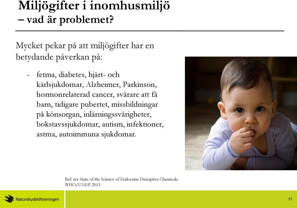 Alzheimer, Parkinson, hormonrelaterad cancer, svårare att få barn, tidigare pubertet, missbildningar på