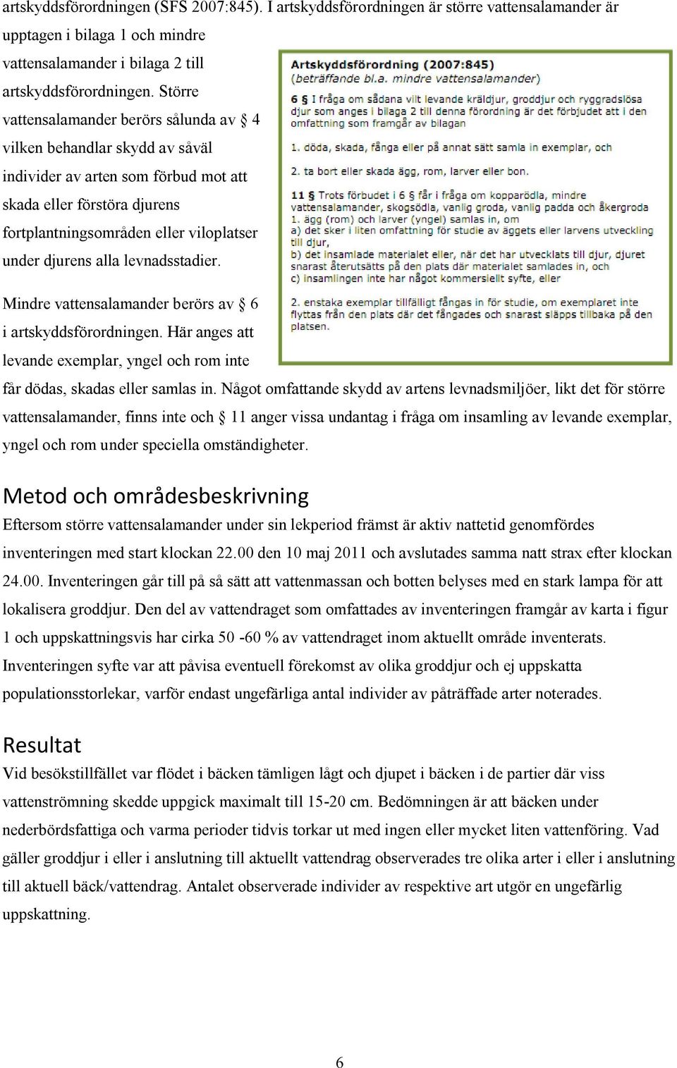 alla levnadsstadier. Mindre vattensalamander berörs av 6 i artskyddsförordningen. Här anges att levande exemplar, yngel och rom inte får dödas, skadas eller samlas in.