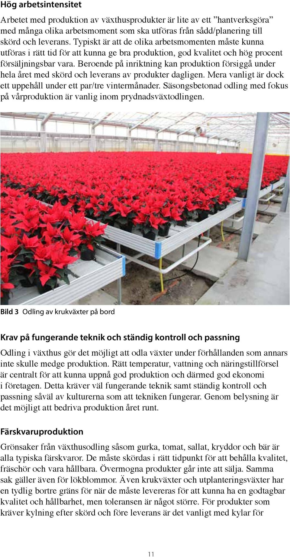 Beroende på inriktning kan produktion försiggå under hela året med skörd och leverans av produkter dagligen. Mera vanligt är dock ett uppehåll under ett par/tre vintermånader.