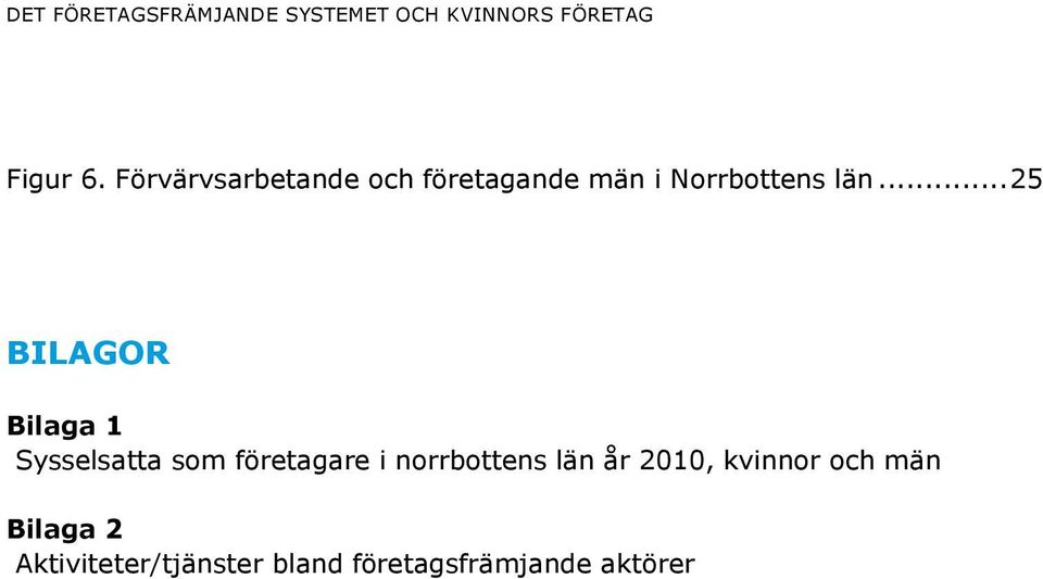 .. 25 BILAGOR Bilaga 1 Sysselsatta som företagare i norrbottens län