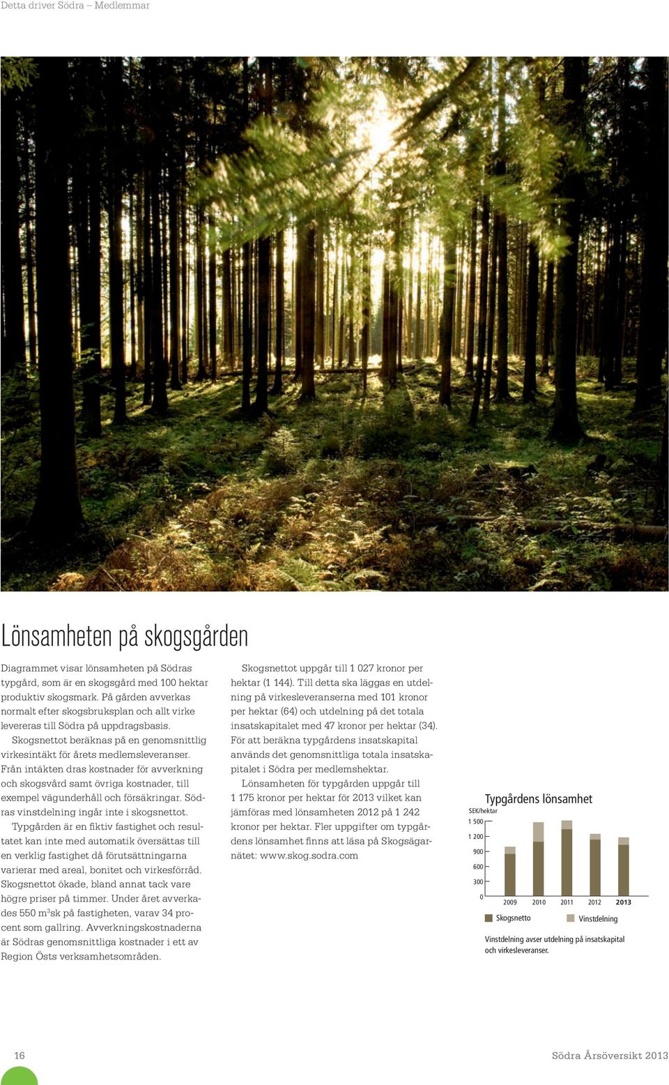 Från intäkten dras kostnader för avverkning och skogsvård samt övriga kostnader, till exempel vägunderhåll och försäkringar. Södras vinstdelning ingår inte i skogsnettot.