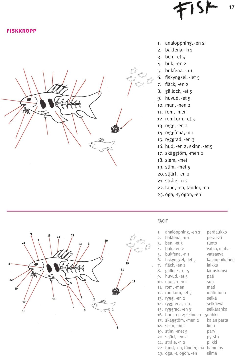 stråle, -n 2 22. tand, -en, tänder, -na 23. öga, -t, ögon, -en FACIT 1. analöppning, -en 2 peräaukko 2. bakfena, -n 1 peräevä 3. ben, -et 5 ruoto 4. buk, -en 2 vatsa, maha 5. bukfena, -n 1 vatsaevä 6.