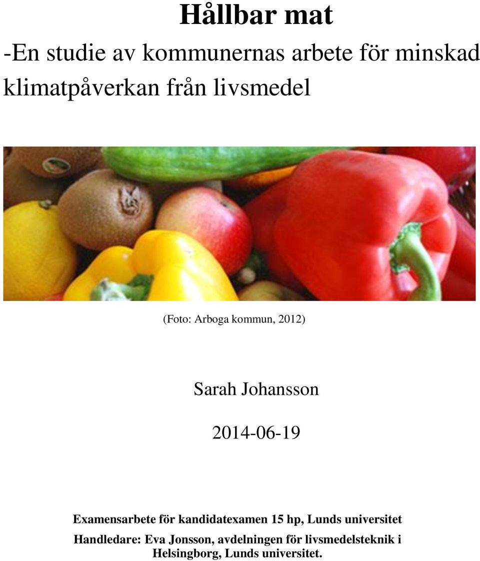 Examensarbete för kandidatexamen 15 hp, Lunds universitet Handledare: