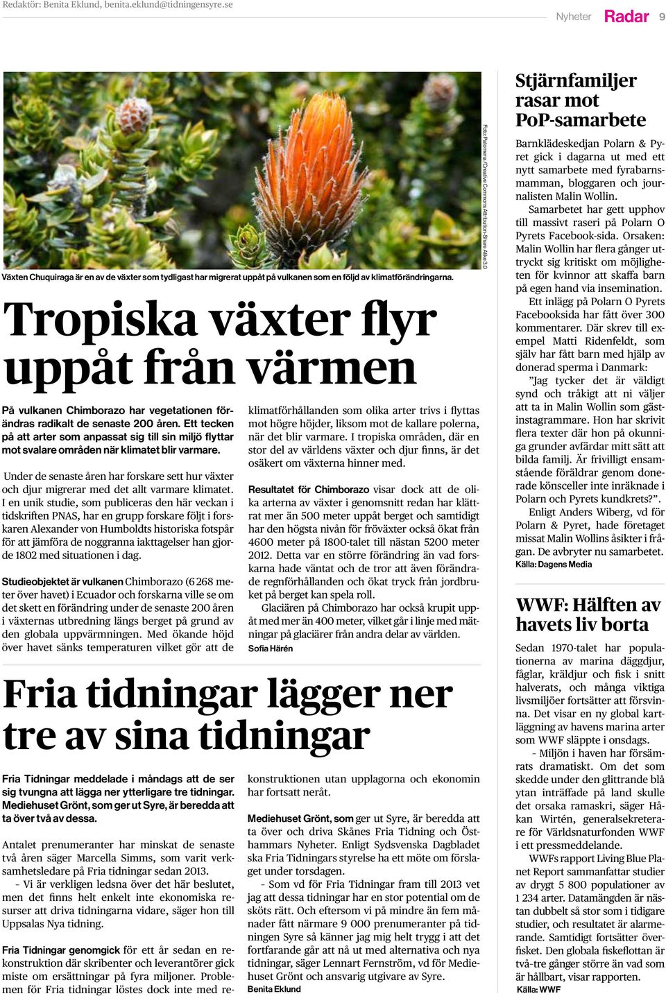 Ett tecken på att arter som anpassat sig till sin miljö flyttar mot svalare områden när klimatet blir varmare.