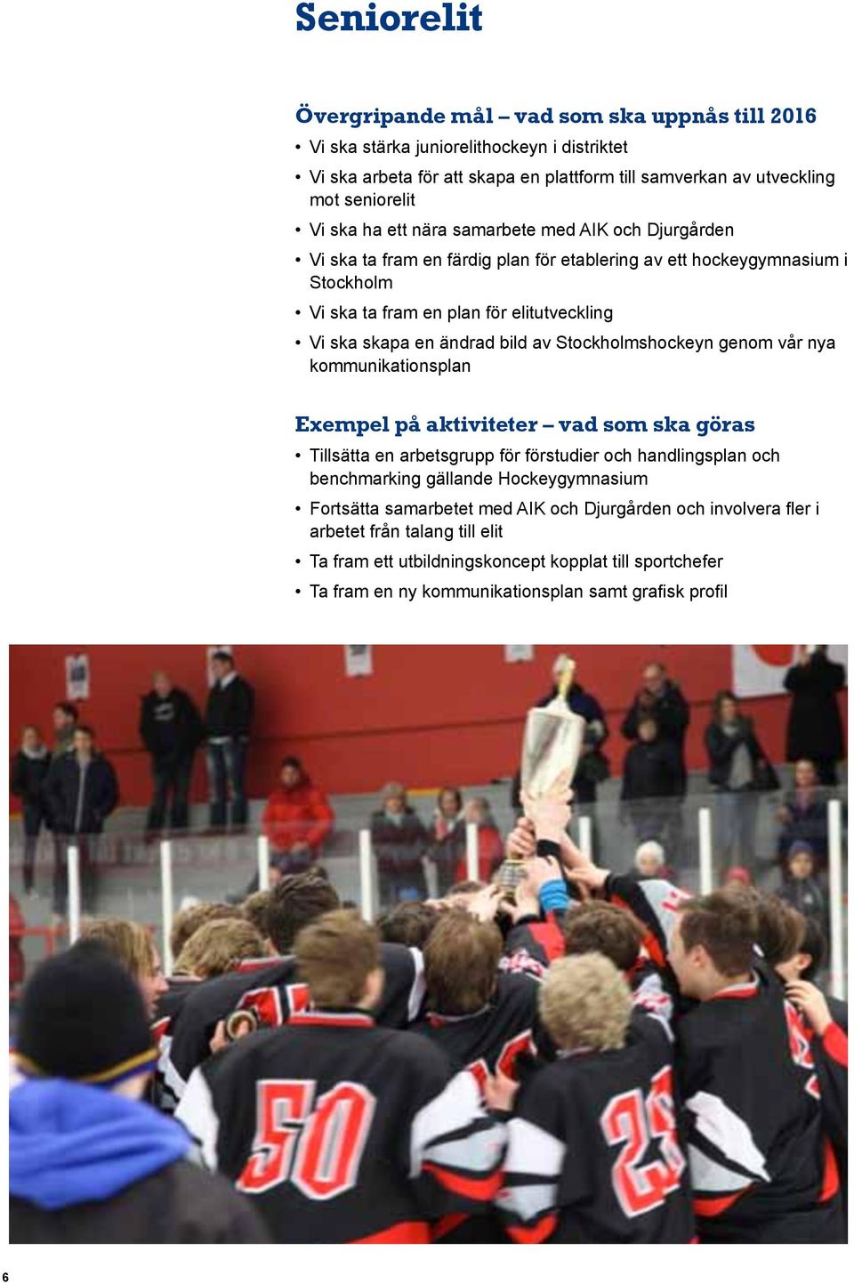Stockholmshockeyn genom vår nya kommunikationsplan Tillsätta en arbetsgrupp för förstudier och handlingsplan och benchmarking gällande Hockeygymnasium Fortsätta samarbetet med