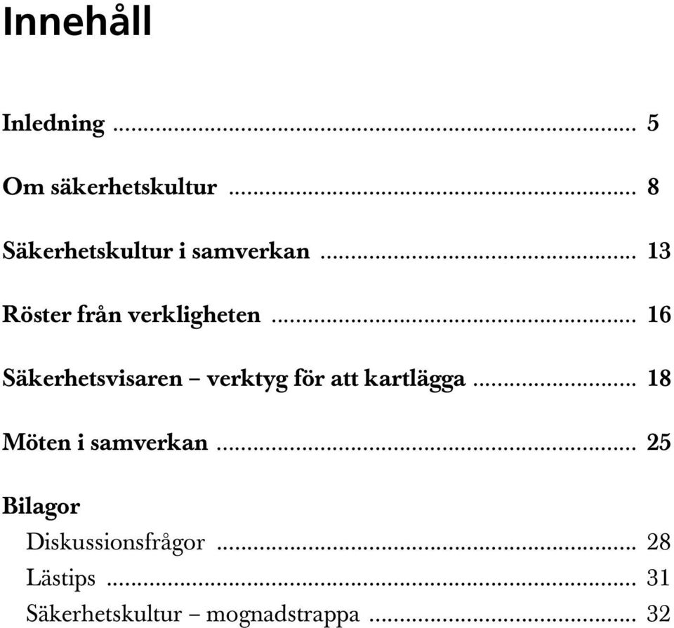 .. 16 Säkerhetsvisaren verktyg för att kartlägga.