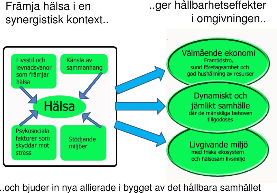 ...ger hållbarhetseffekter i