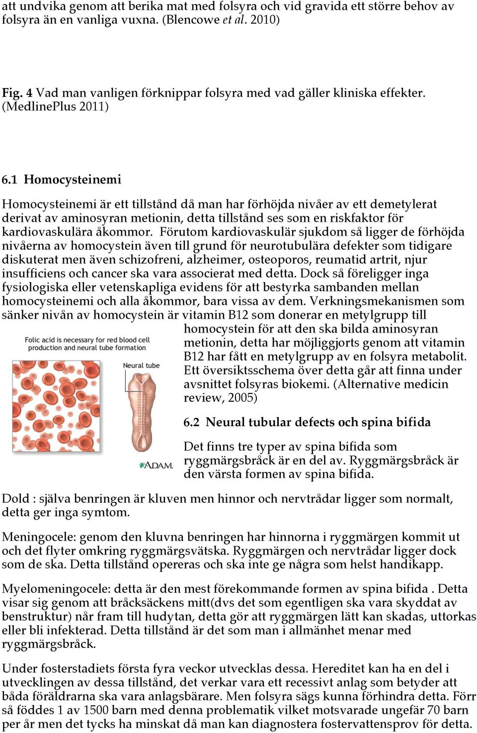 1 Homocysteinemi Homocysteinemi är ett tillstånd då man har förhöjda nivåer av ett demetylerat derivat av aminosyran metionin, detta tillstånd ses som en riskfaktor för kardiovaskulära åkommor.