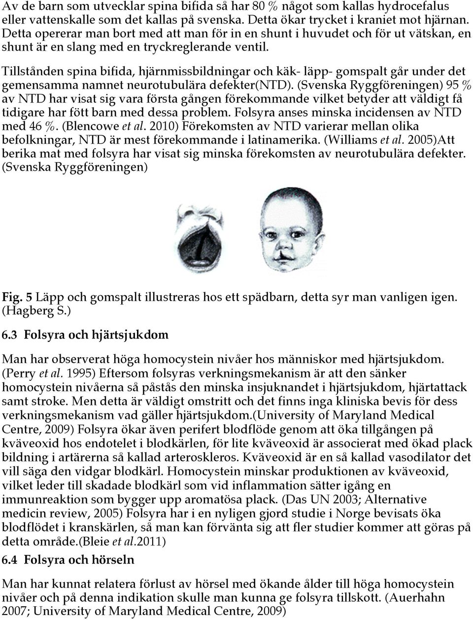 Tillstånden spina bifida, hjärnmissbildningar och käk- läpp- gomspalt går under det gemensamma namnet neurotubulära defekter(ntd).