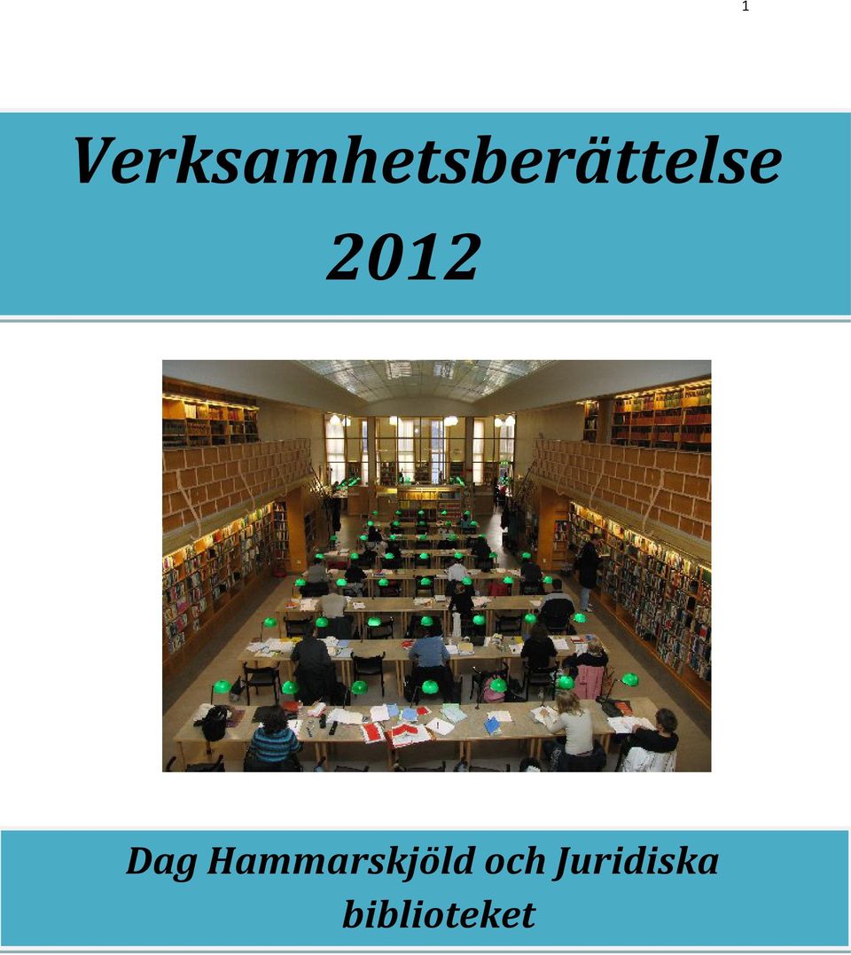 Verksamhetsberättelse 2012 Dag 