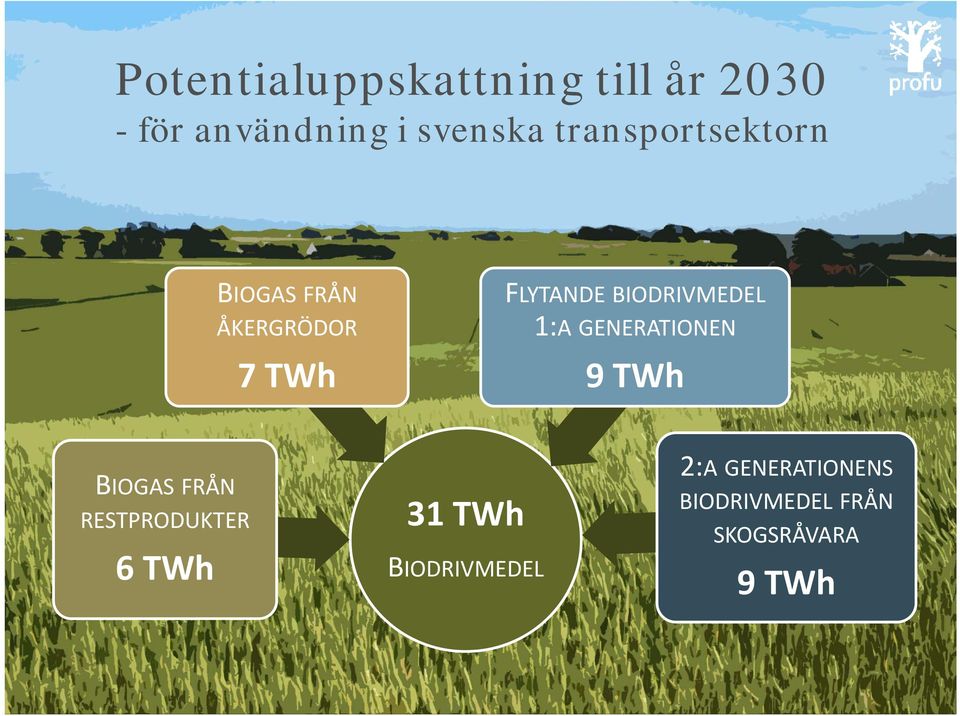 BIODRIVMEDEL 1:A GENERATIONEN 9 TWh BIOGAS FRÅN RESTPRODUKTER 6