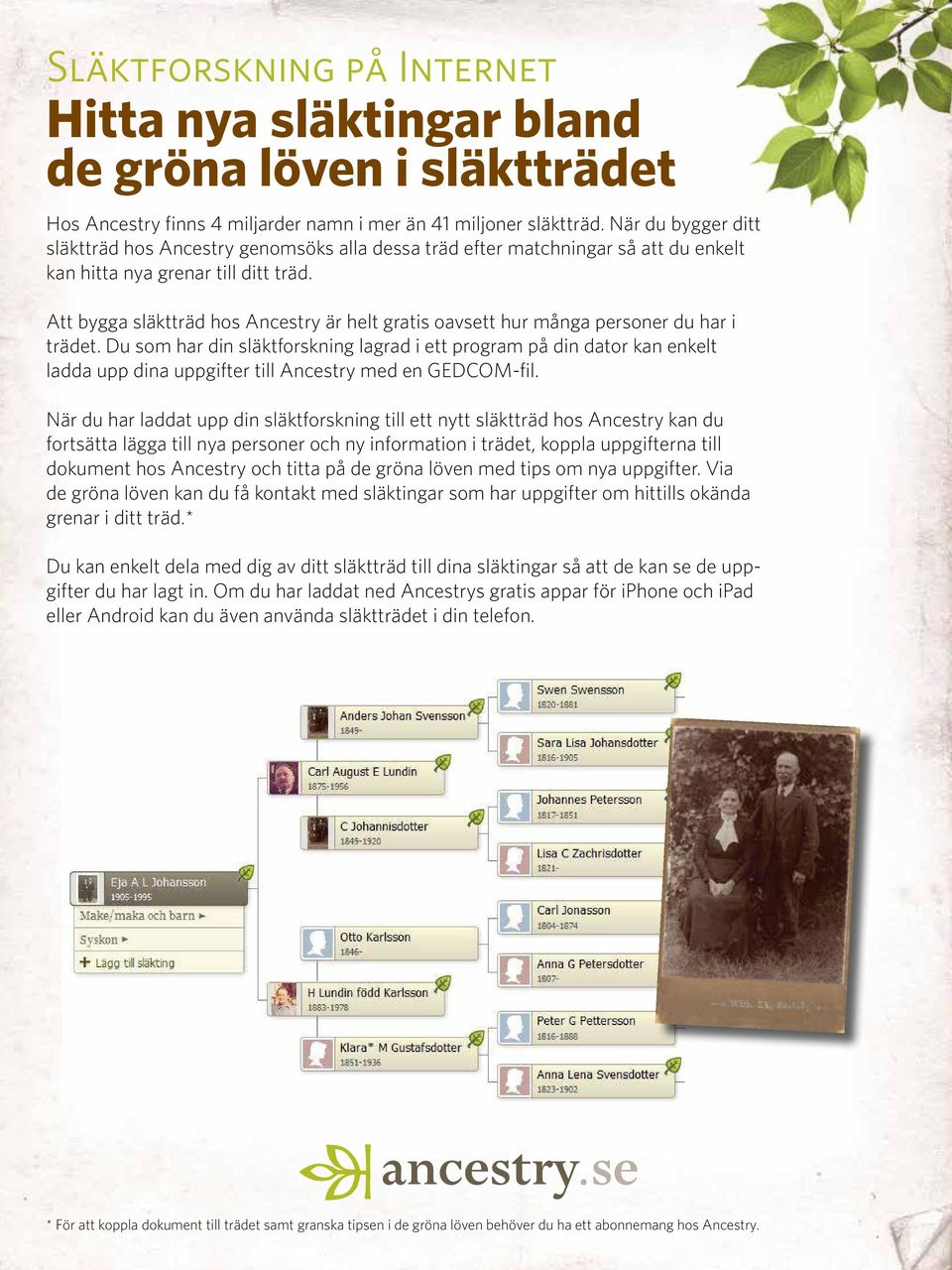 Att bygga släktträd hos Ancestry är helt gratis oavsett hur många personer du har i trädet.