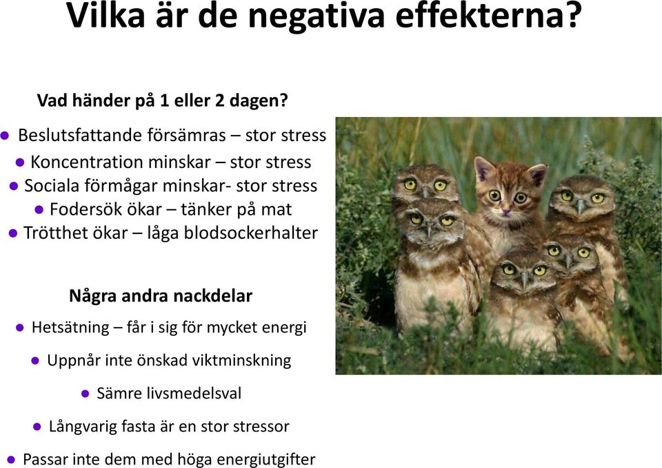 stress Fodersök ökar tänker på mat Trötthet ökar låga blodsockerhalter Några andra nackdelar Hetsätning