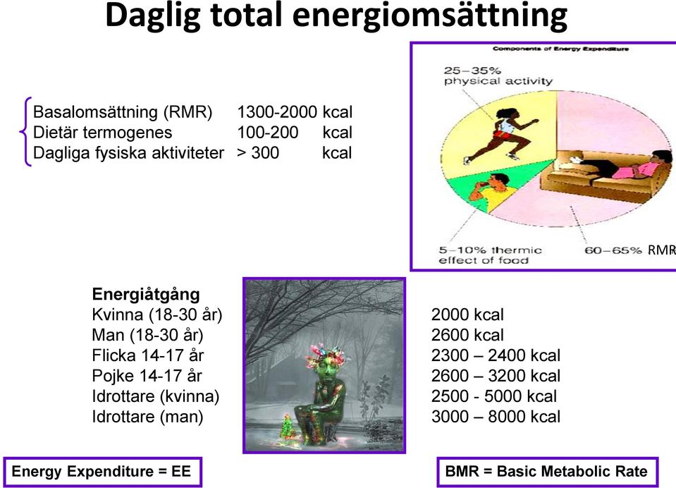 år) Flicka 14-17 år Pojke 14-17 år Idrottare (kvinna) Idrottare (man) 2000 kcal 2600 kcal 2300